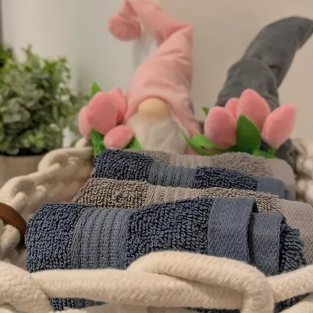 100 Qm Raumwunder Inmitten Der Altstadt Apartment