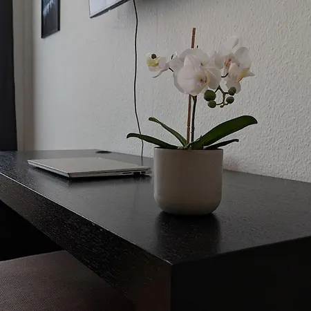 100 Qm Raumwunder Inmitten Der Altstadt דירה