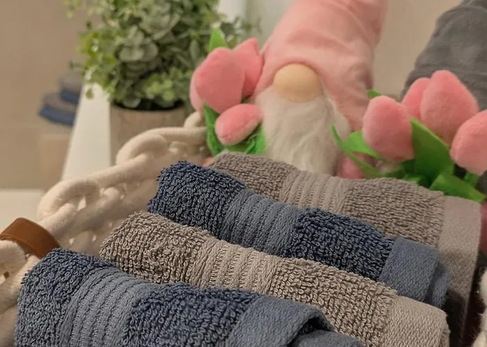 Apartment 100 Qm Raumwunder Inmitten Der Altstadt Koblenz (Rhineland-Palatinate)