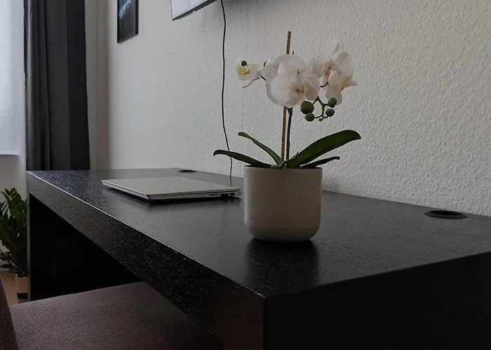 100 Qm Raumwunder Inmitten Der Altstadt Apartment