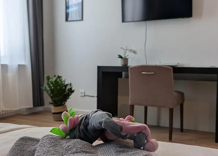 100 Qm Raumwunder Inmitten Der Altstadt Koblenz (Rhineland-Palatinate)